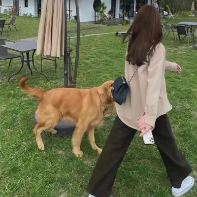 黑旋风